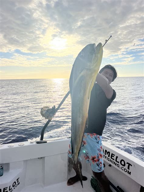 kona fishing reports|kona fishing blog.